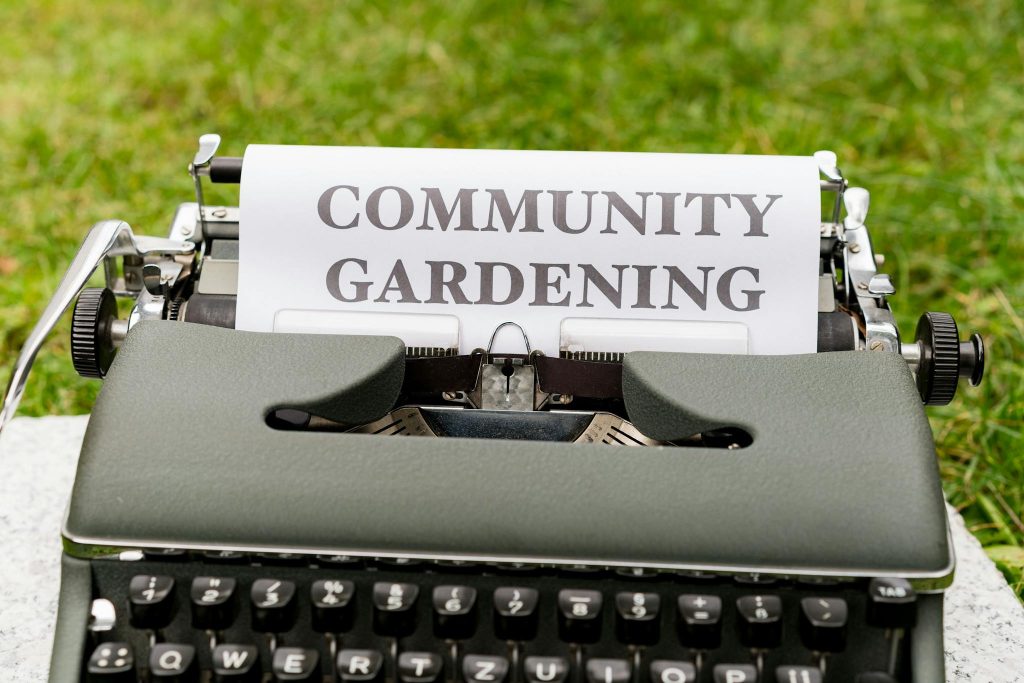 Vintage typewriter displaying community gardening message on paper outdoors pots.